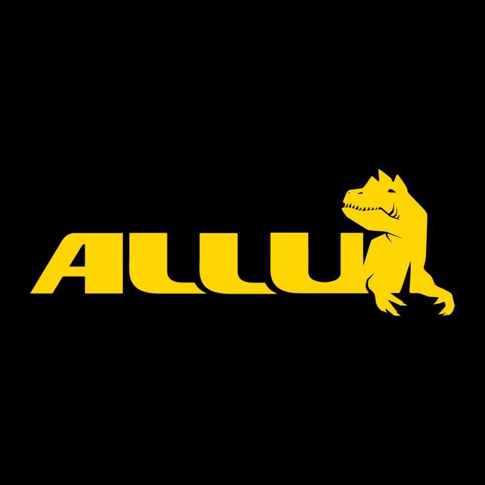 company image