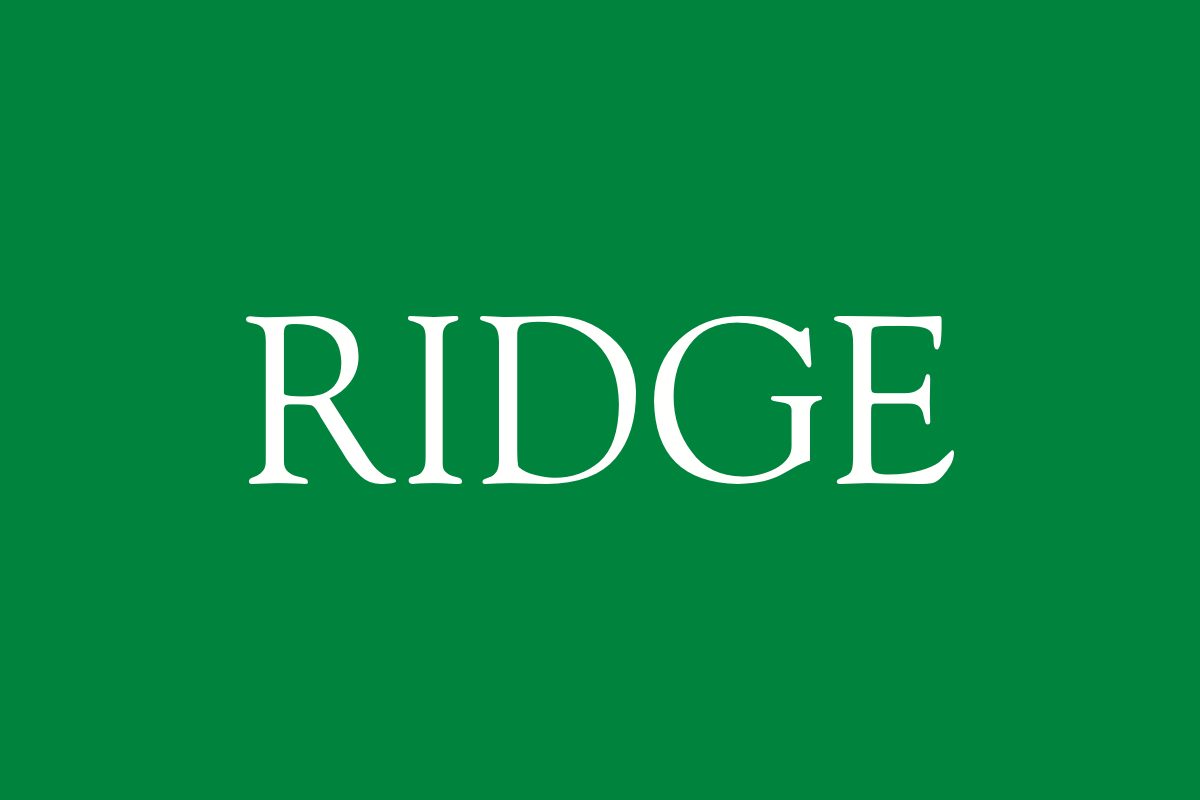 company image
