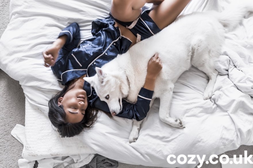 Cozy launches "Cozy Community"