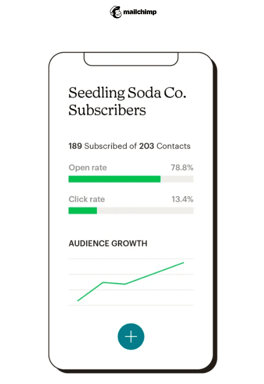 Mailchimp Reports