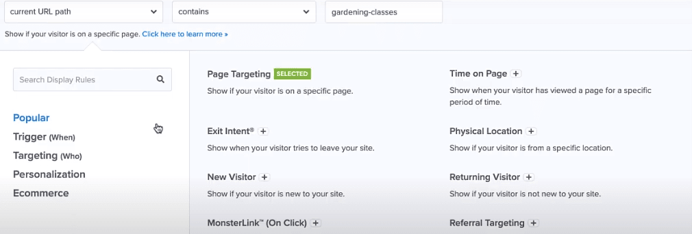 OptinMonster Segmentation