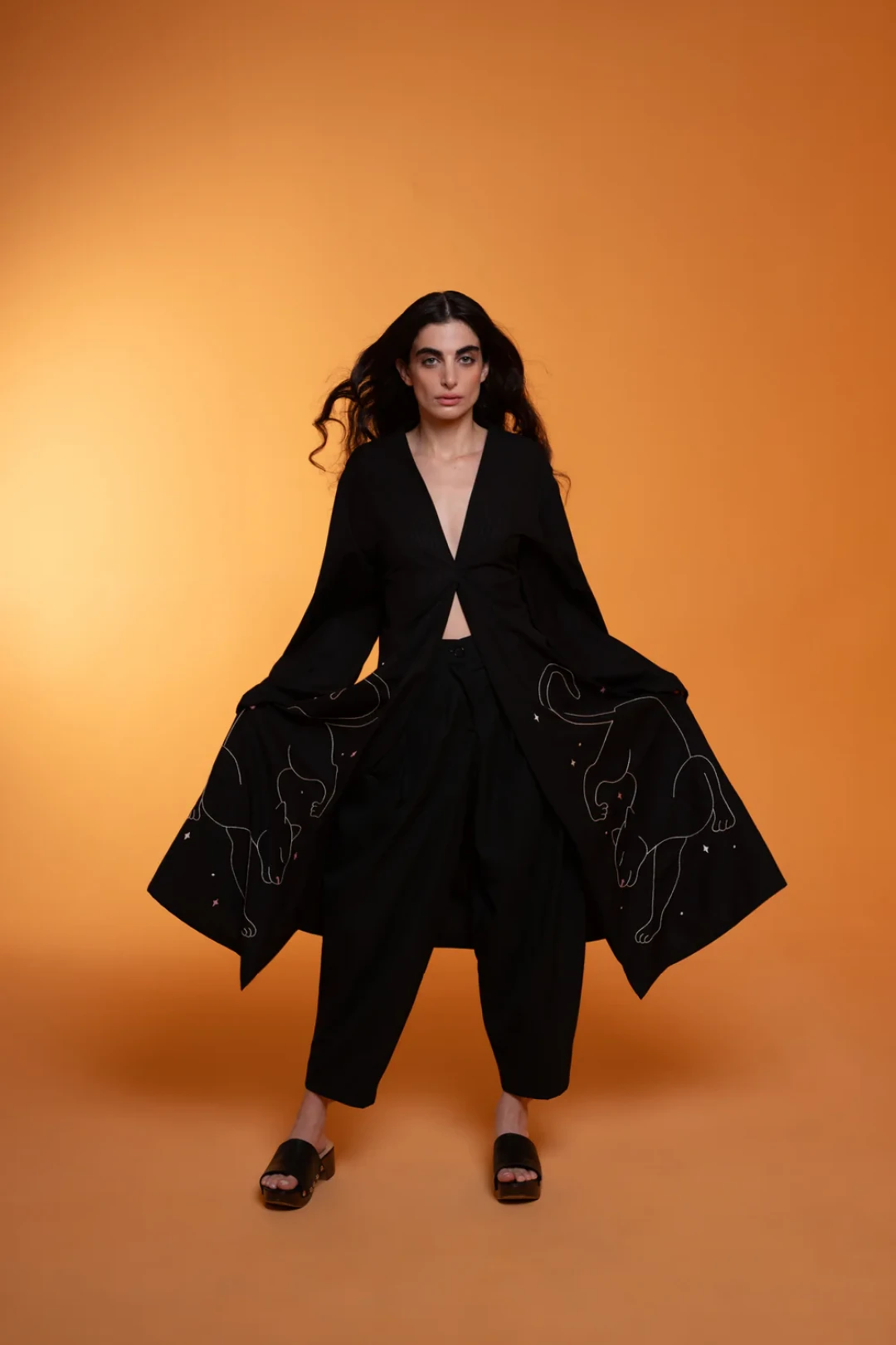 The Panther by Salim Azzam on curated-crowd.com