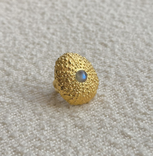 Labradorite Set Werner's Shell Ring by Tay Jewellery on curated-crowd.com