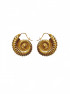 Harp Shells Earrings Gold by Jessica K on curated-crowd.com