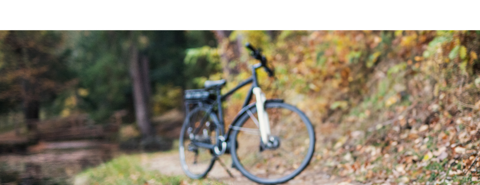 couple with bike