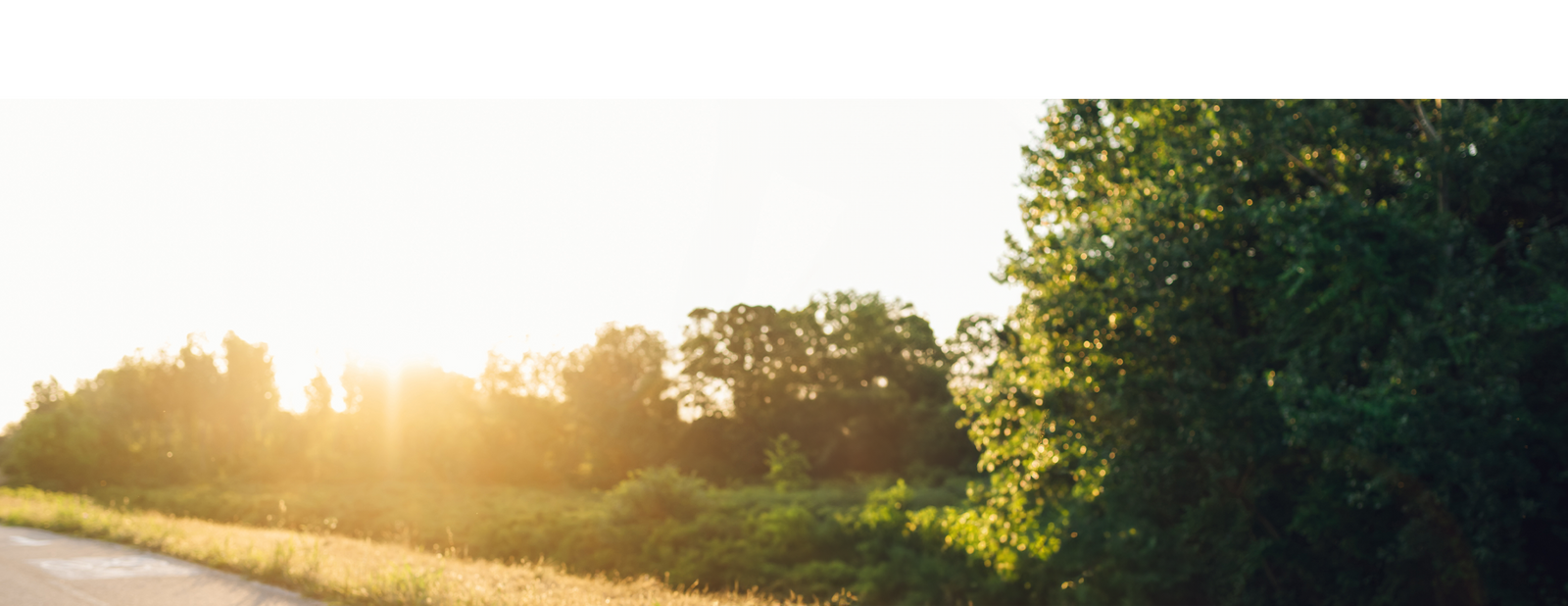 Cyclist riding a road bike on a road with cycler bicycle insurance