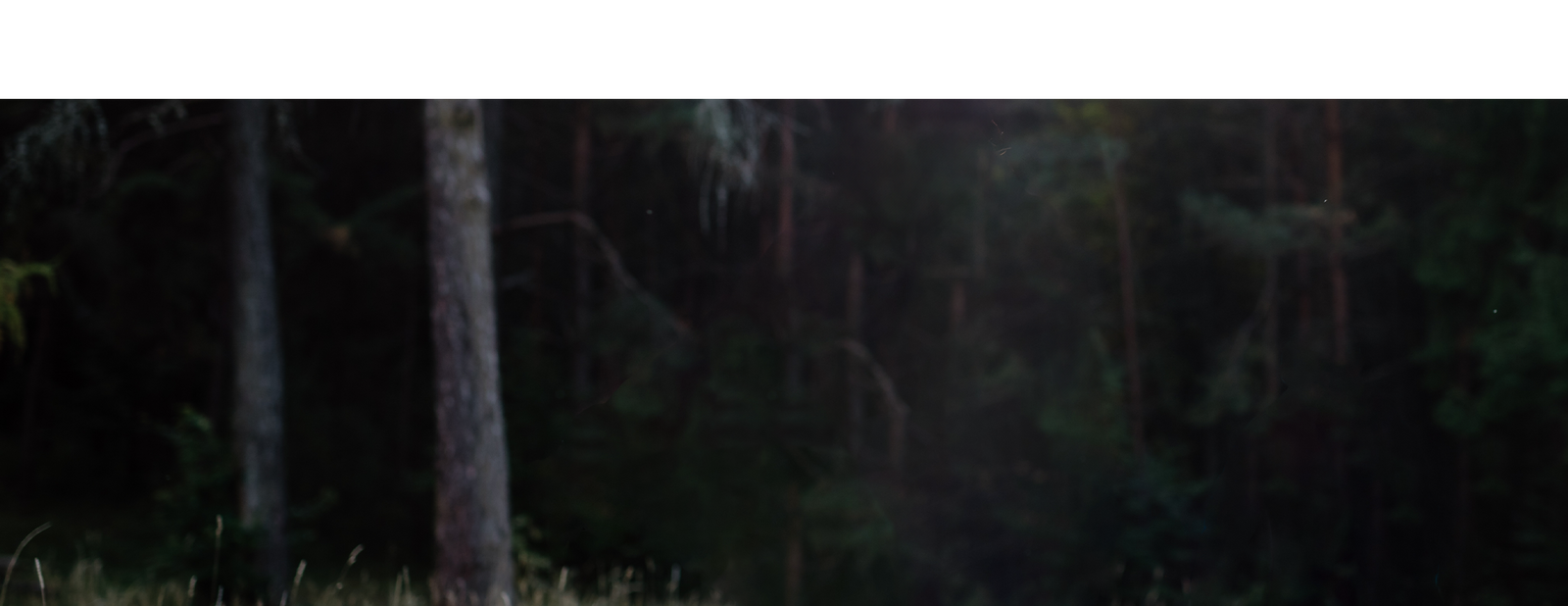 Mountain Bike Insurance