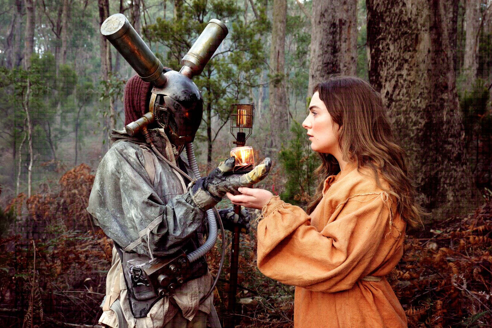 Andy Packer on A Concise Compendium Of Wonder: 'Our stories lead us back to a sense of hope for the future'