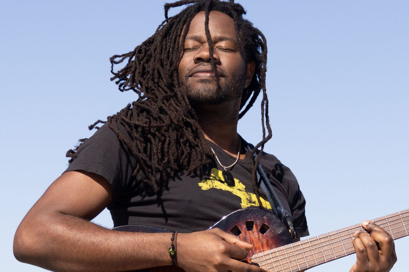 Tree Of Dreams music review: Songs from the roots