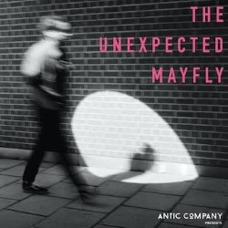 The Unexpected Mayfly