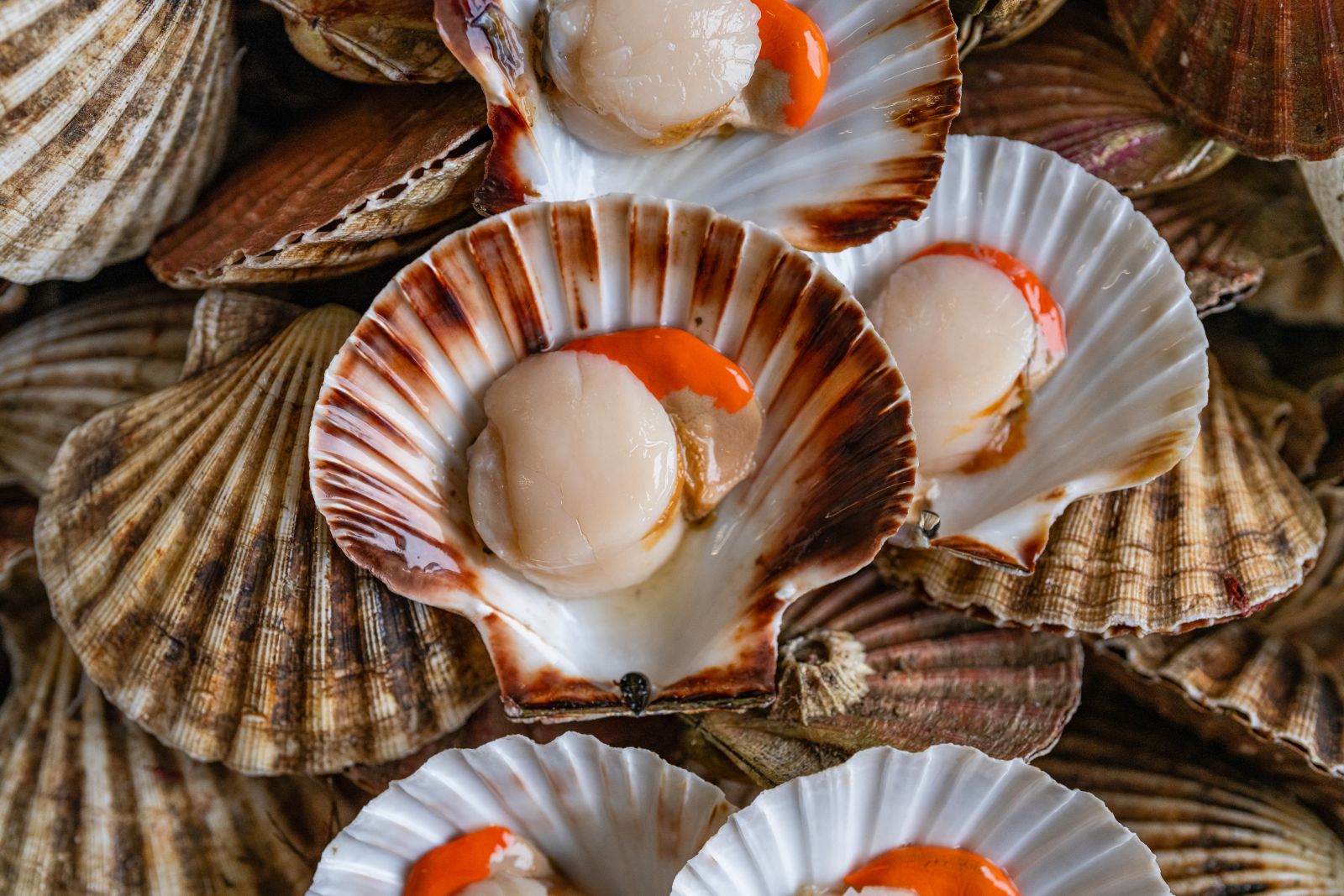 Scottish Food & Drink September offers five delicious ways to celebrate Scotland’s thriving food scene
