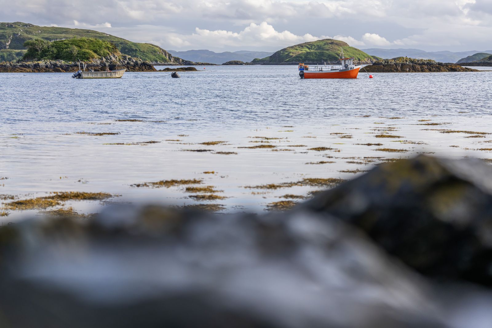 Enjoy the country's tastiest adventures with Scotland Food & Drink