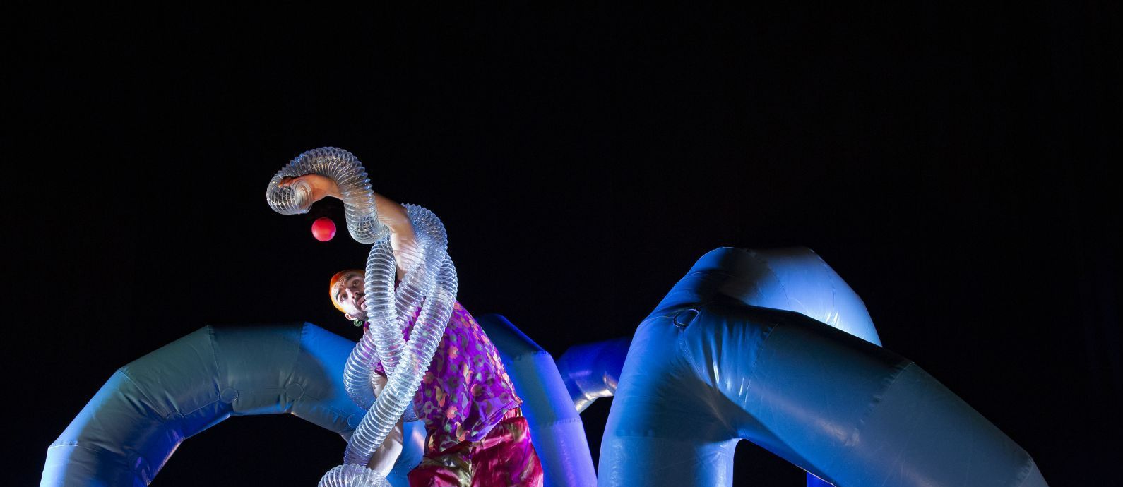 Wes Peden: Rollercoaster dance review – An exciting ride