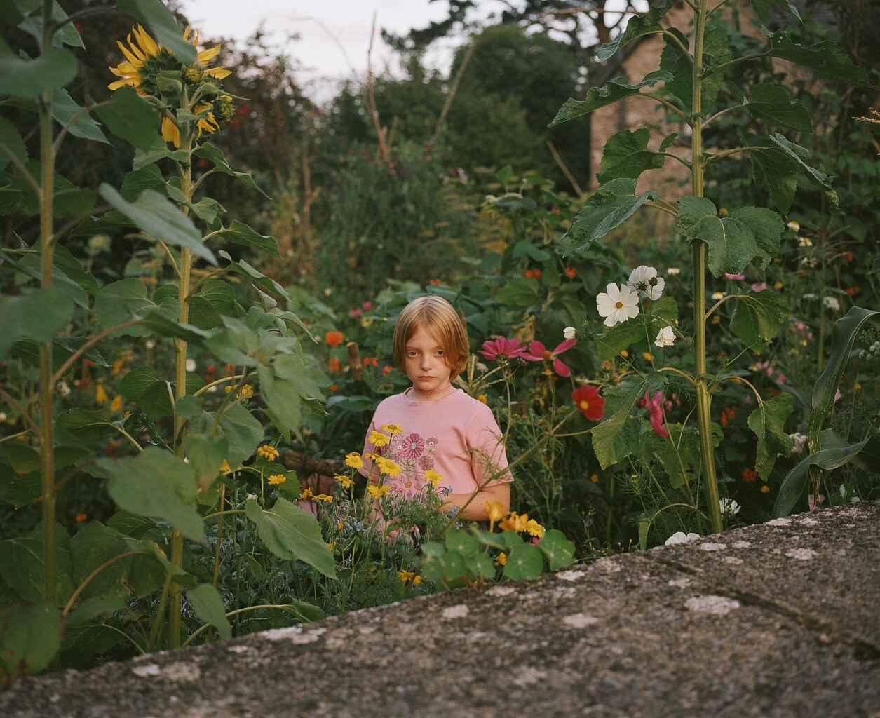 Siân Davey: The Garden art review – Love, loss and connection