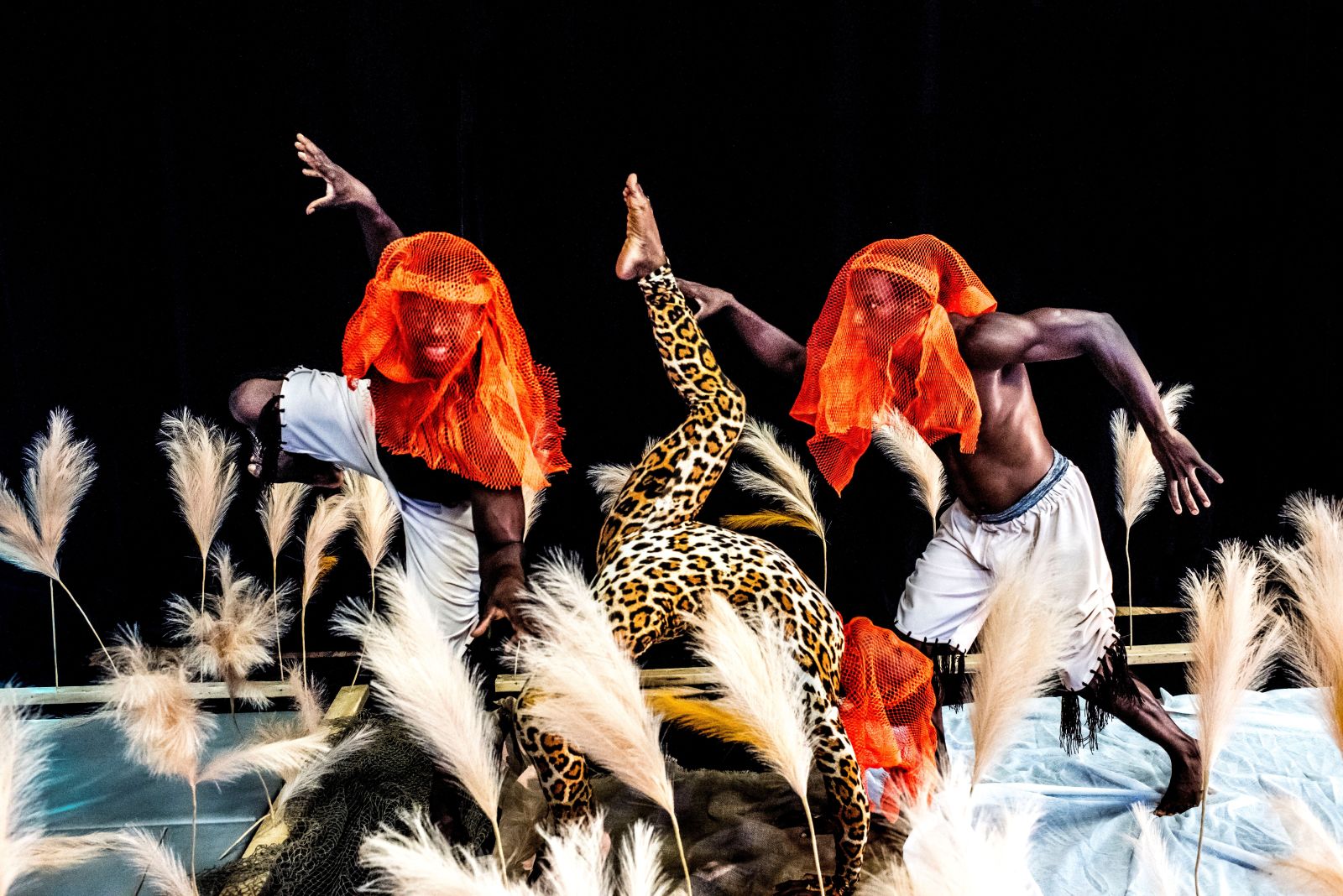 Cirque Kalabanté: WOW (World Of Words) circus review – Guinean culture celebrated