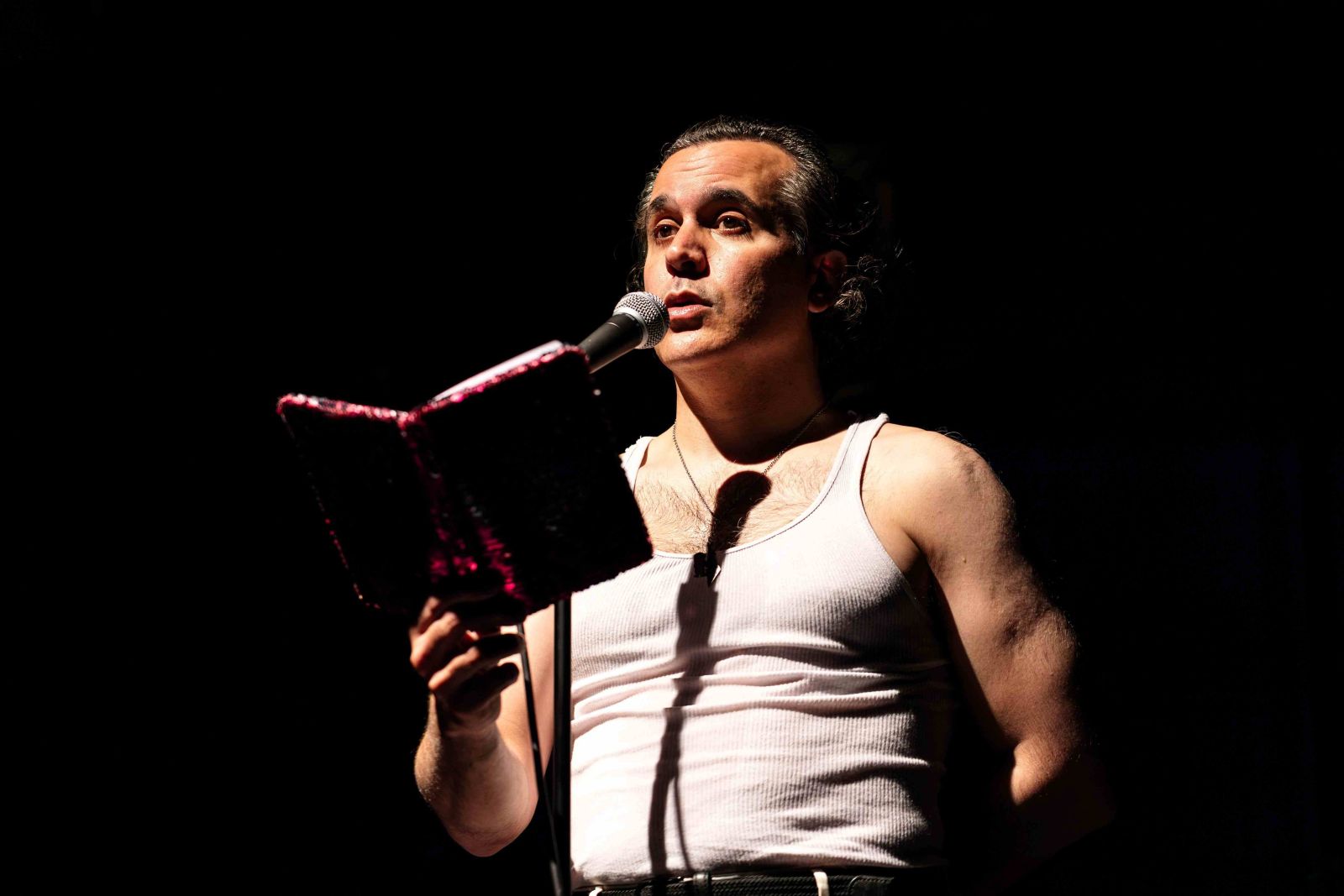 Palestine: Peace de Resistance comedy review – Witty and playful