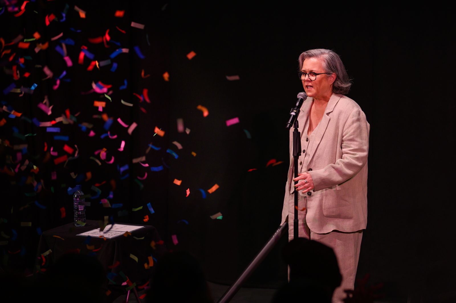 Rosie O'Donnell: Common Knowledge comedy review - Masterful and comedic storytelling