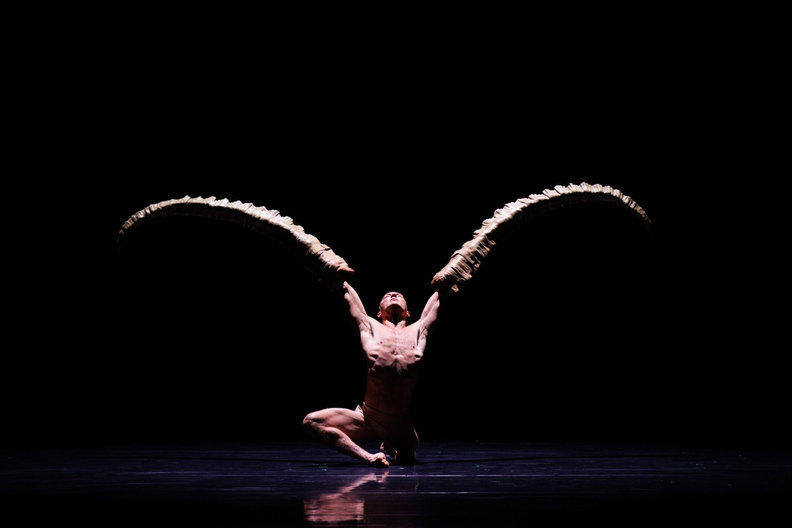 Figures In Extinction dance review: Unique and gut-wrenching