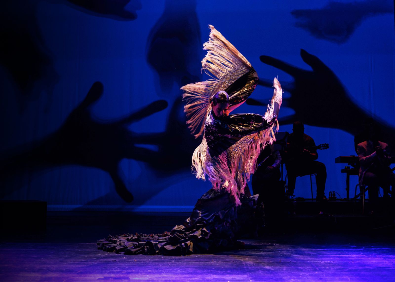 María Garcia on Lola: A Flamenco Love Story – 'I thought "I have to do this"'