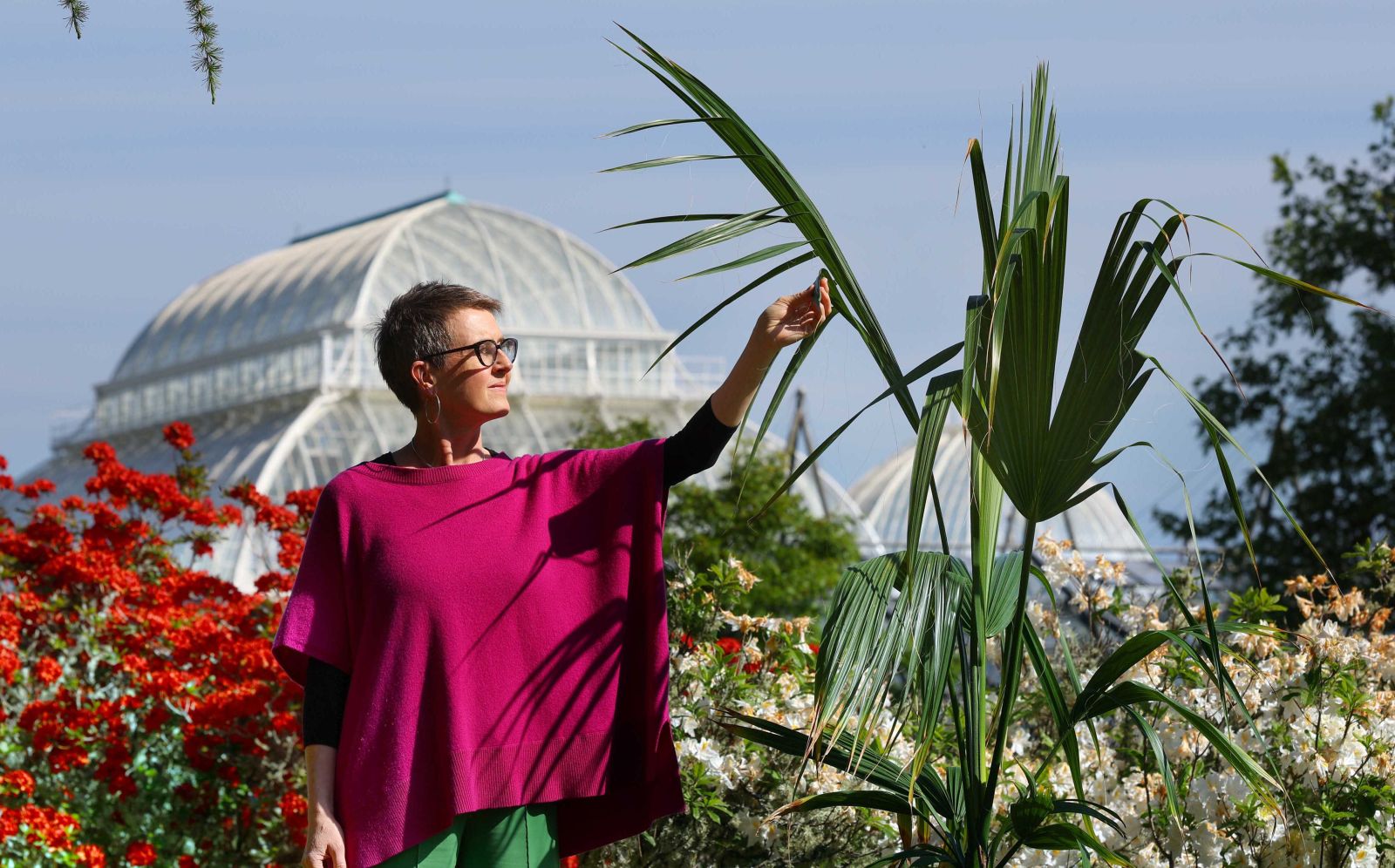 Karine Polwart on her story of a palm: 'It speaks to much bigger issues'