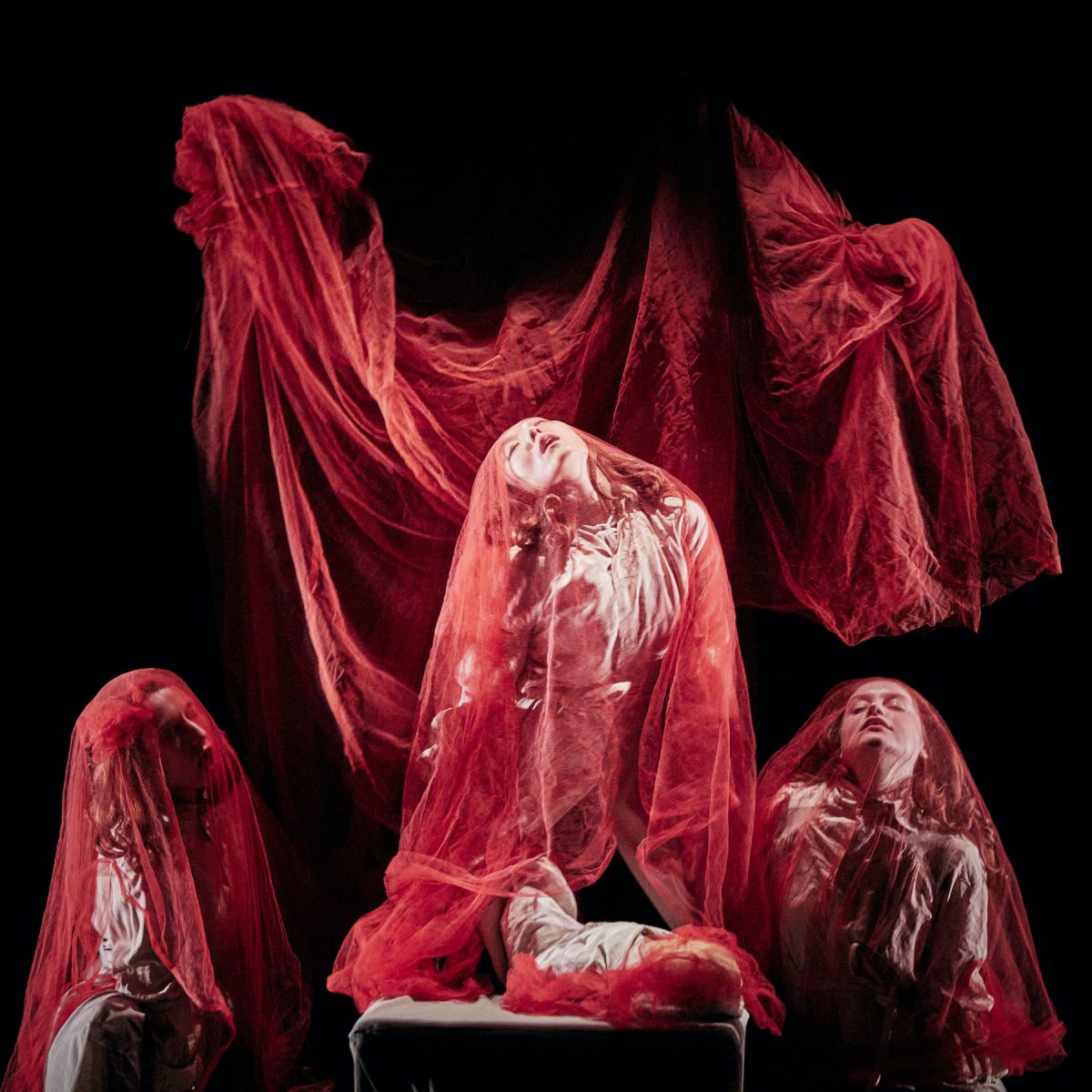 Yngvild Aspeli on Dracula's relevance today: 'Abuse of power never stops happening'