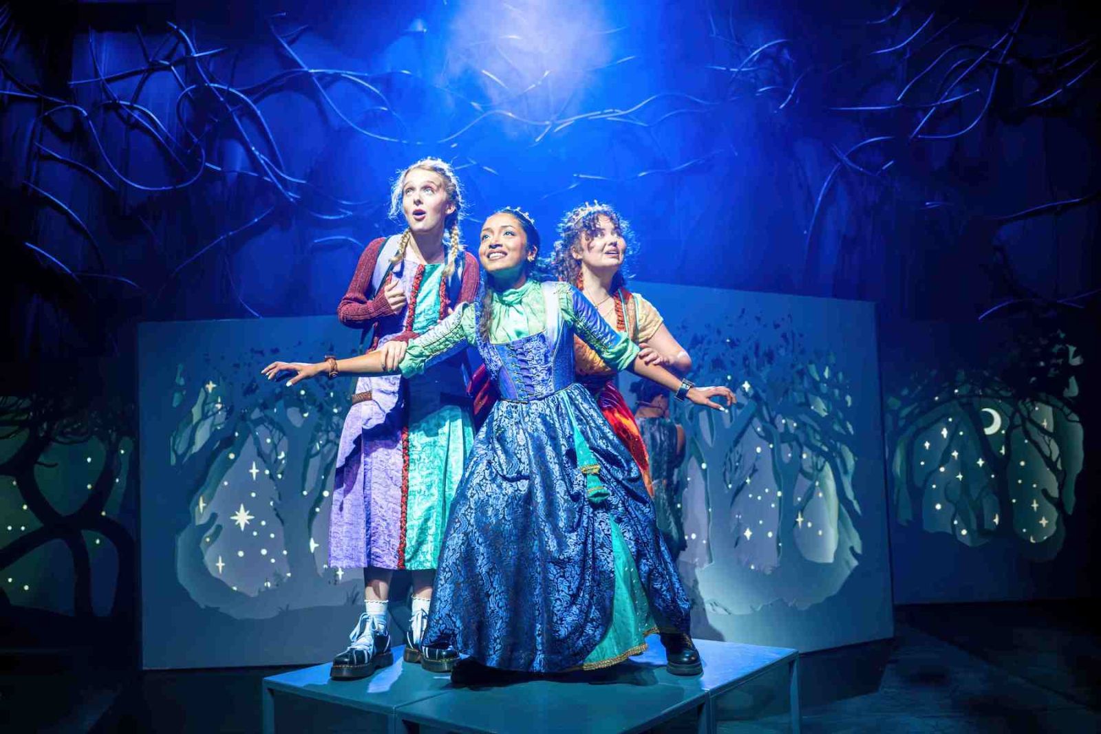 Bliss musical review: Nuanced princesses
