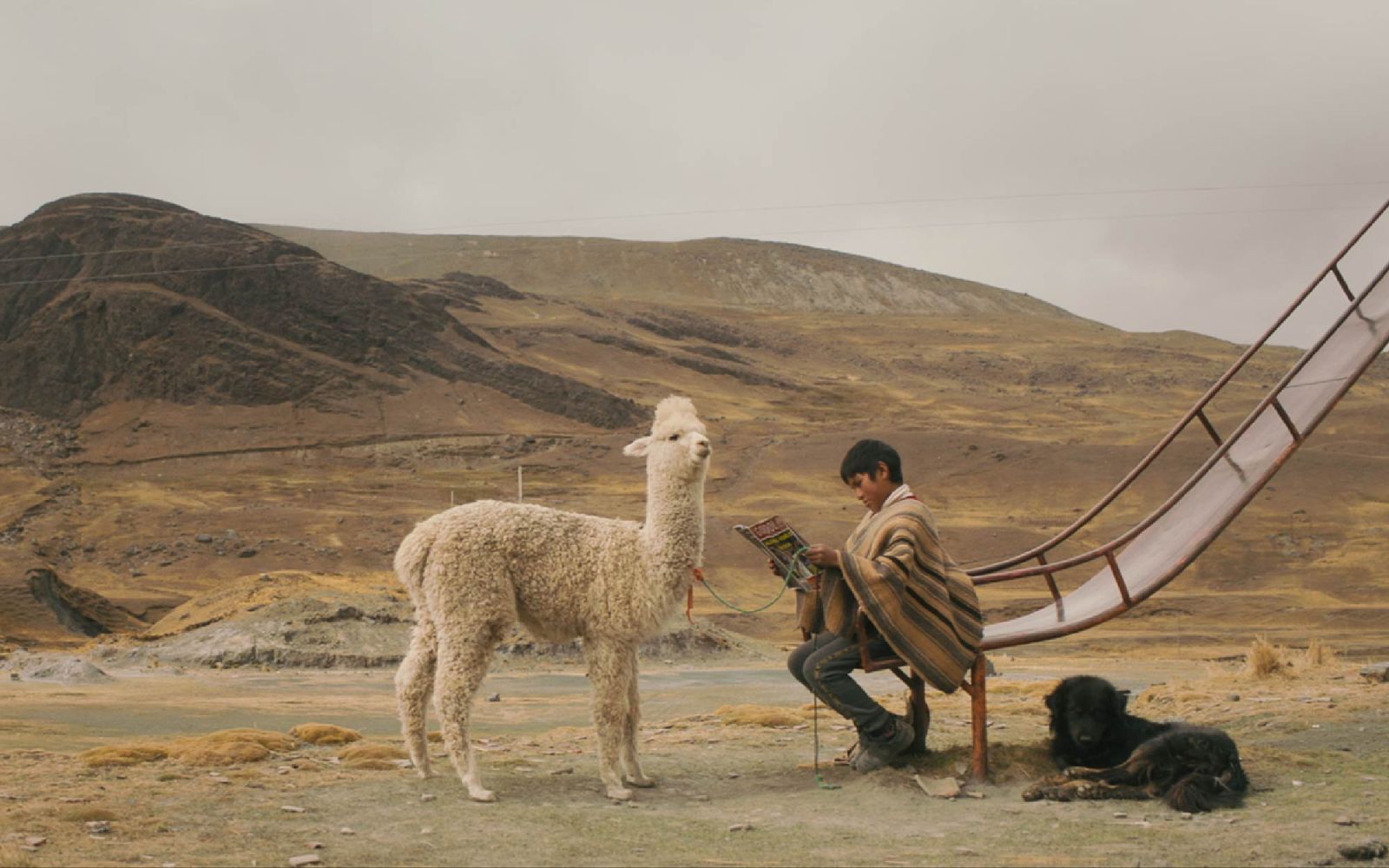Festival director Marian A Aréchaga on the 2025 Edinburgh Spanish Film Festival programme: ‘We need unity and hope against those who want to divide us’