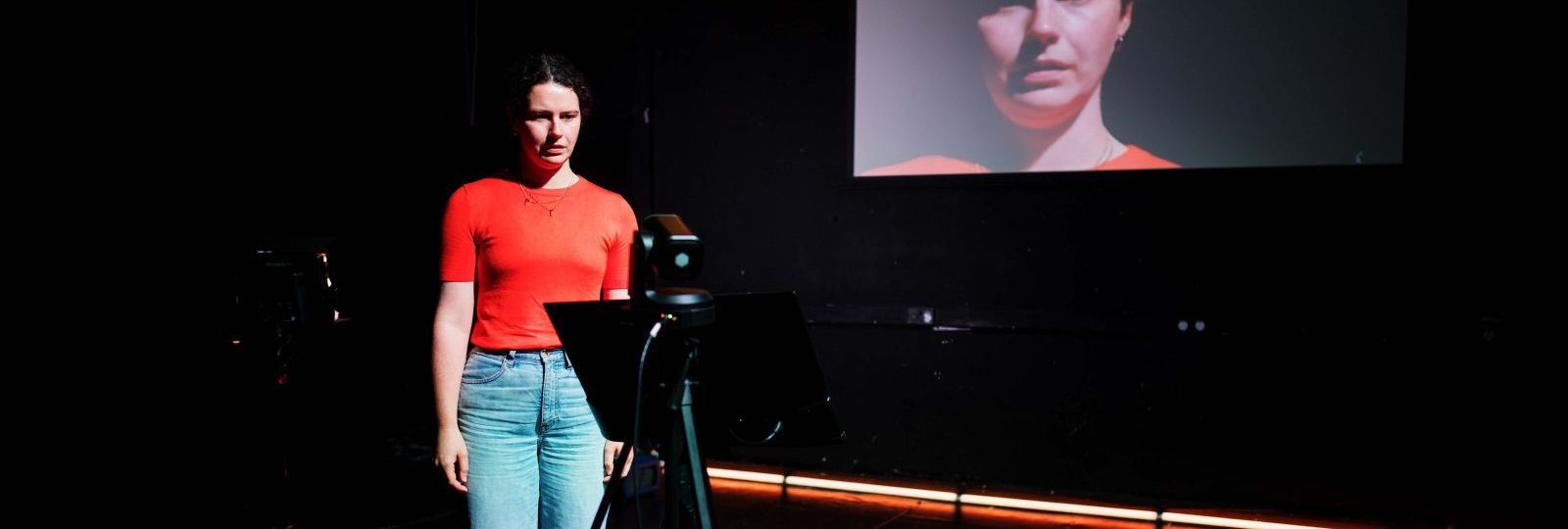 Instructions theatre review: A directorial conspiracy