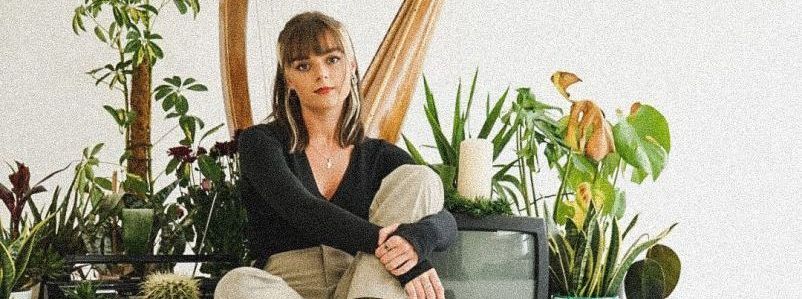 Bar Files: Dara Dubh