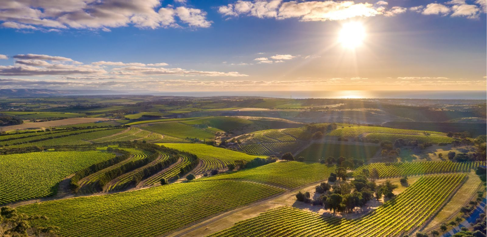 WanderList: McLaren Vale
