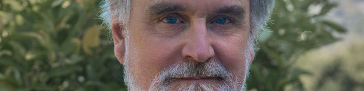 Cary Groner: The Way book review – Fun and thoughtful