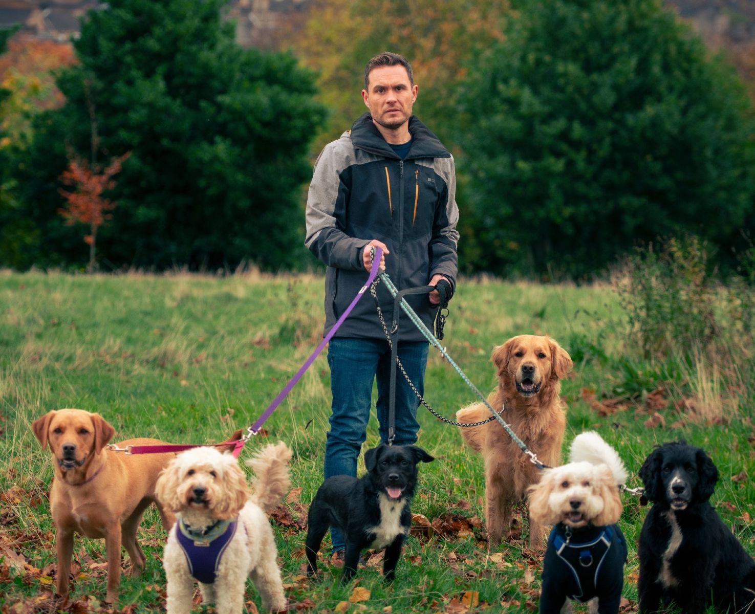 Douglas Maxwell on Man's Best Friend: 'It's about wanting to be of service'
