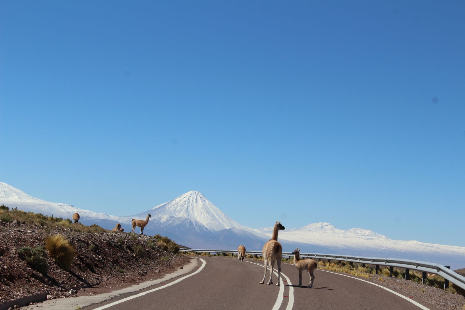 WanderList: San Pedro De Atacama