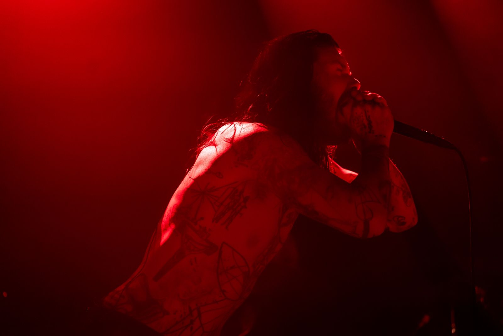 David Weaver on Core Festival: 'If you’re troubled by what’s happening in the world, what better outlet than starting a band?'