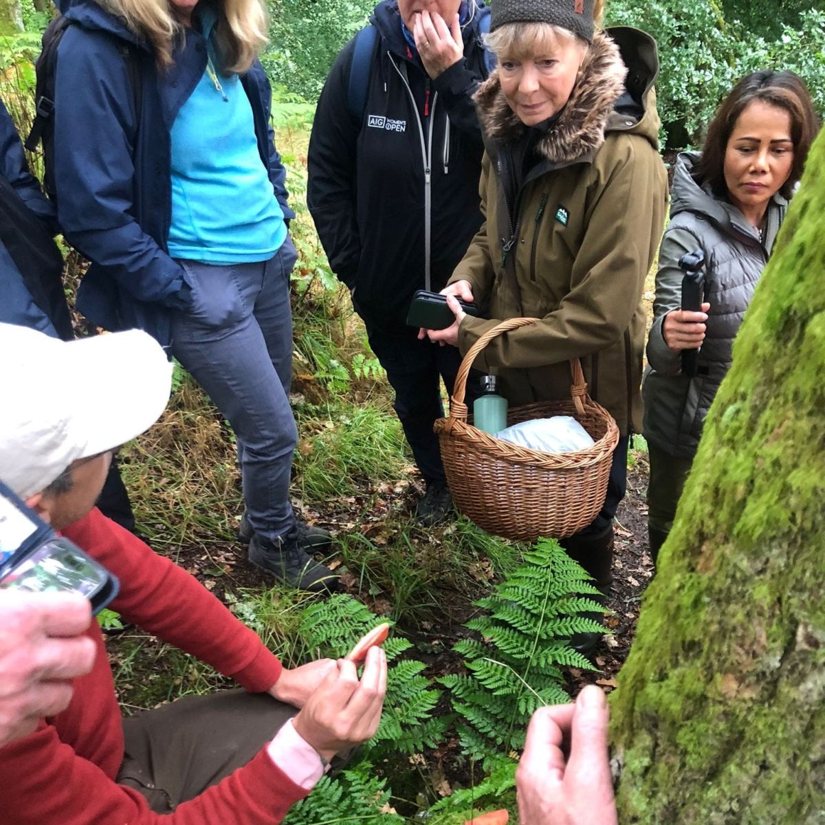 3 foraging hotspots in Scotland