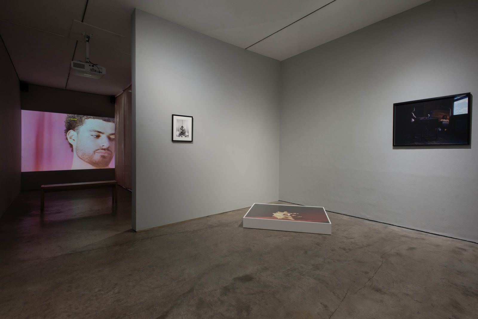 Matthew Arthur Williams: In Consideration Of Our Times art review – Yearning and contemplation