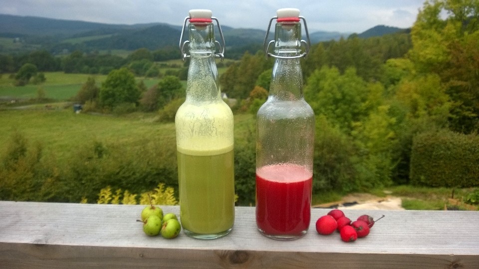 5 food and drink experiences in Glasgow