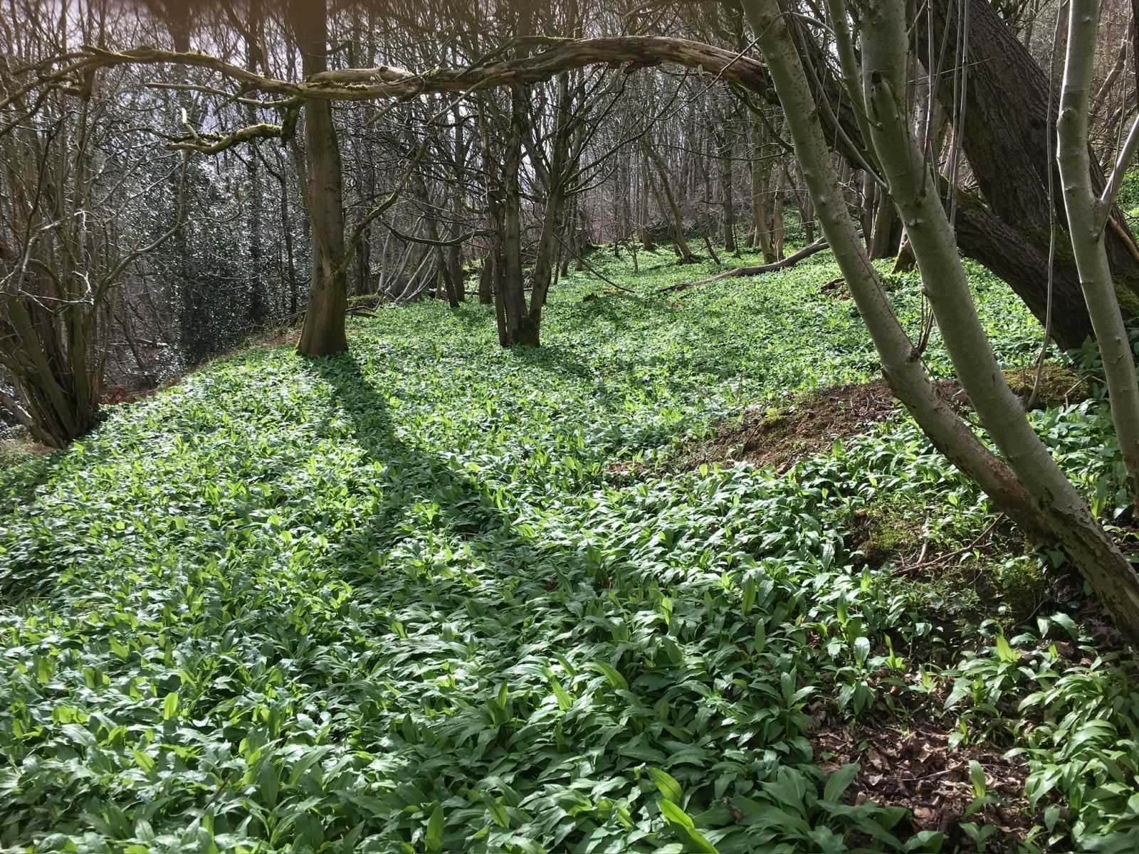 5 food and drink experiences in Edinburgh