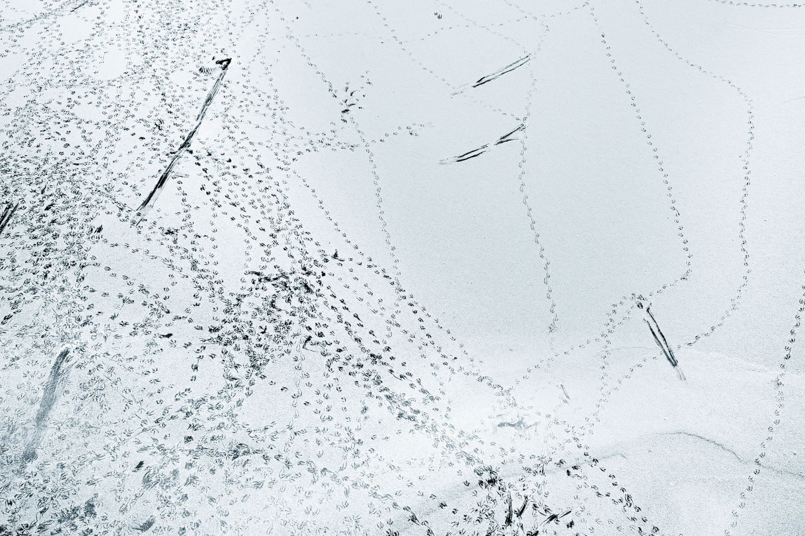 Ralph Alessi: A Sun That Never Sets album review – A disciplined quintet