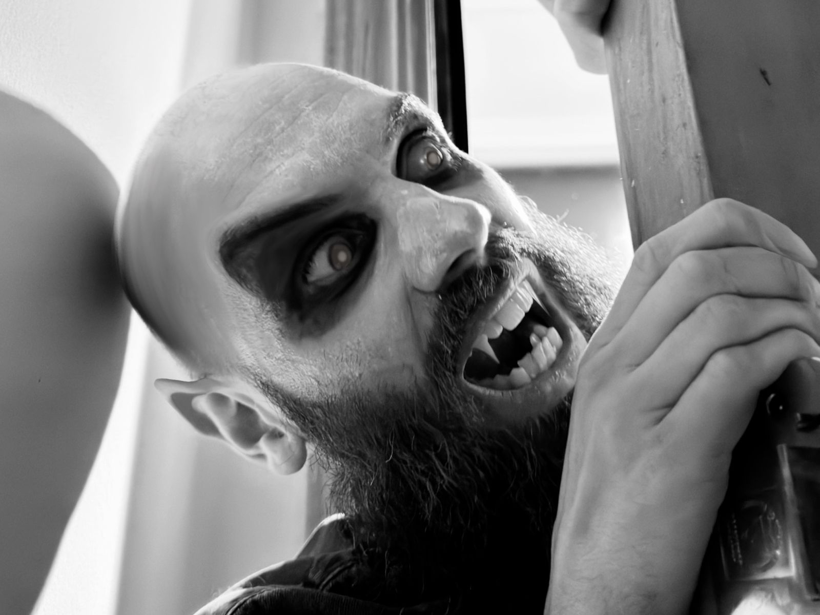 The Q&A: Nosferacula
