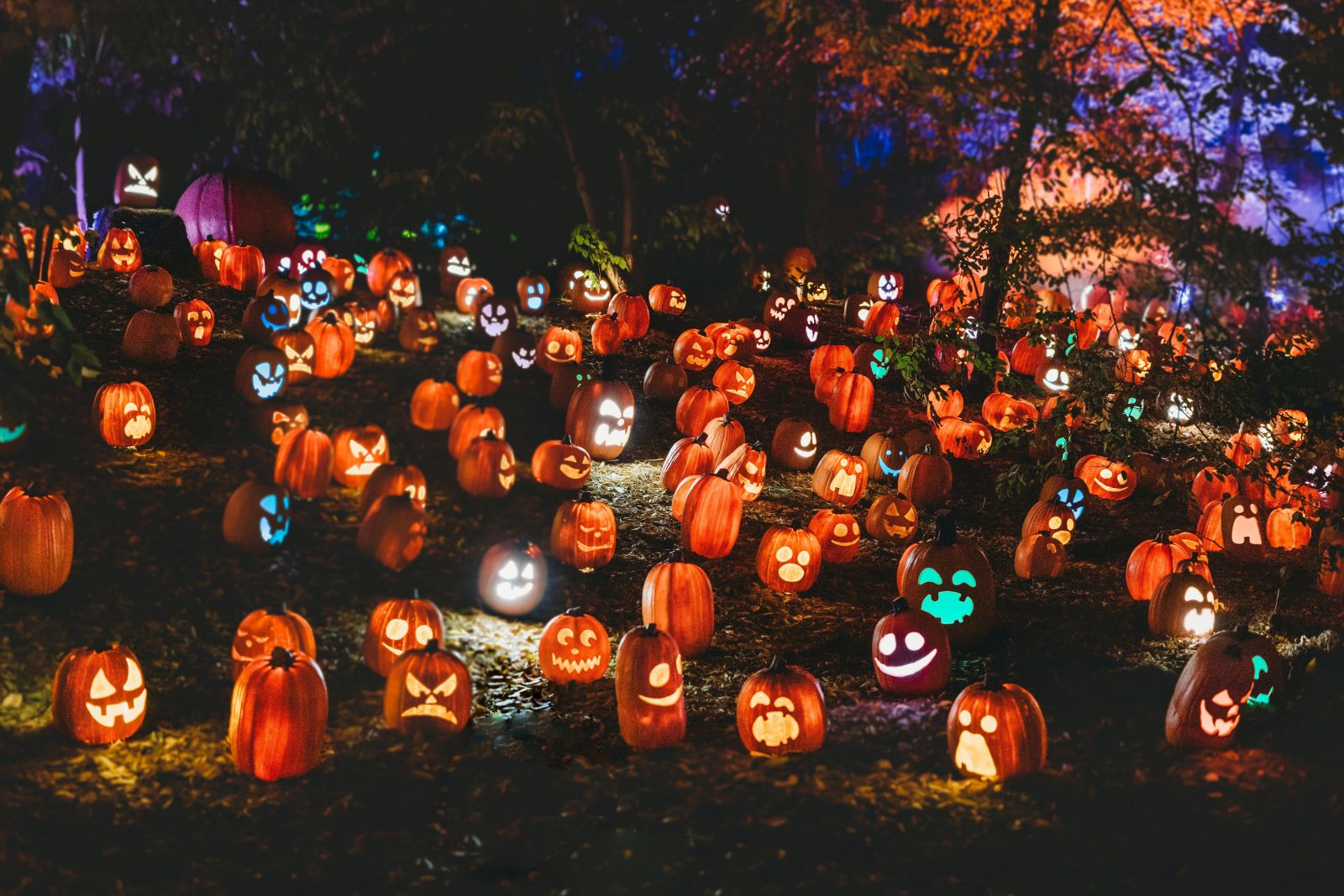 6 great Halloween events taking place across Scotland