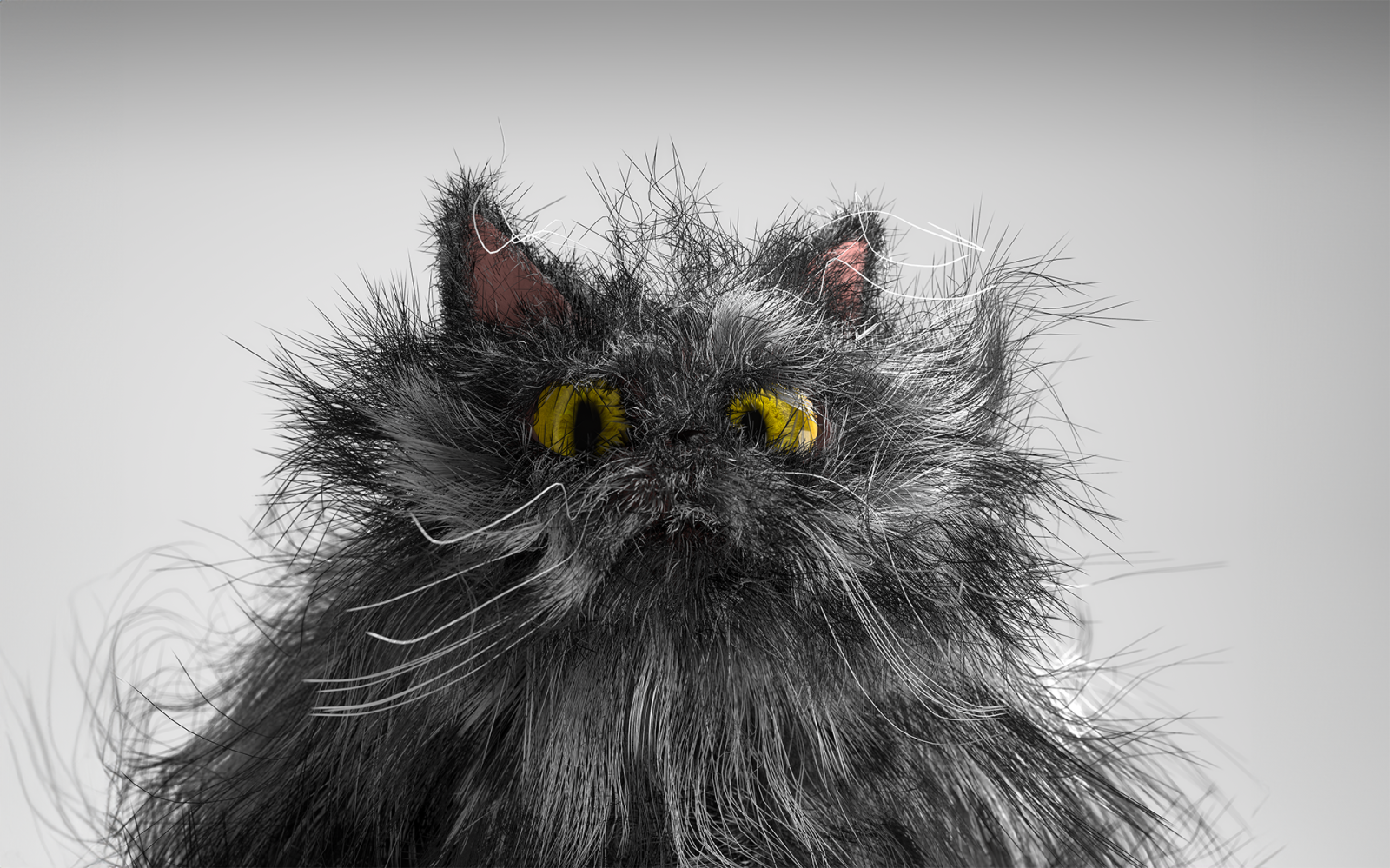 Glasgow Short Film Festival announces line-up for 19th edition