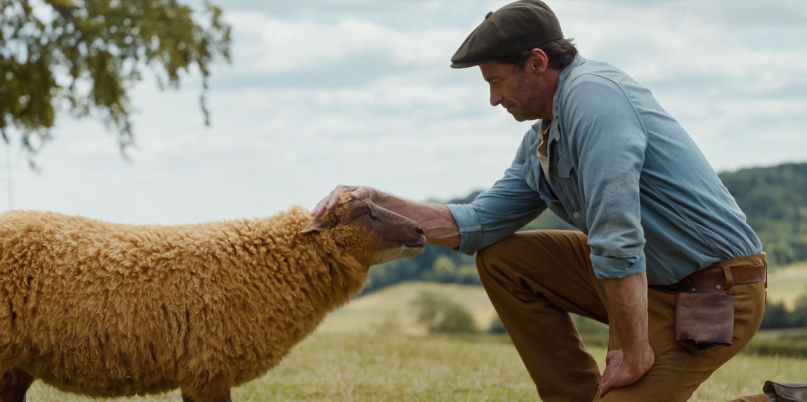 The Sheep Detectives film review: Sleuthing fun