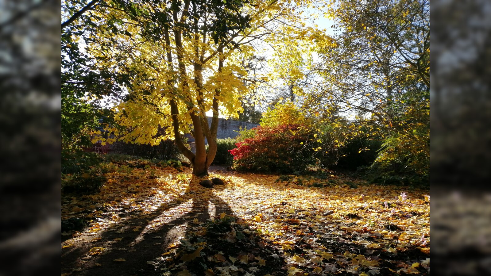 Something For The Weekend: Grayson Perry, Robert Aramayo, Tom Allen and more