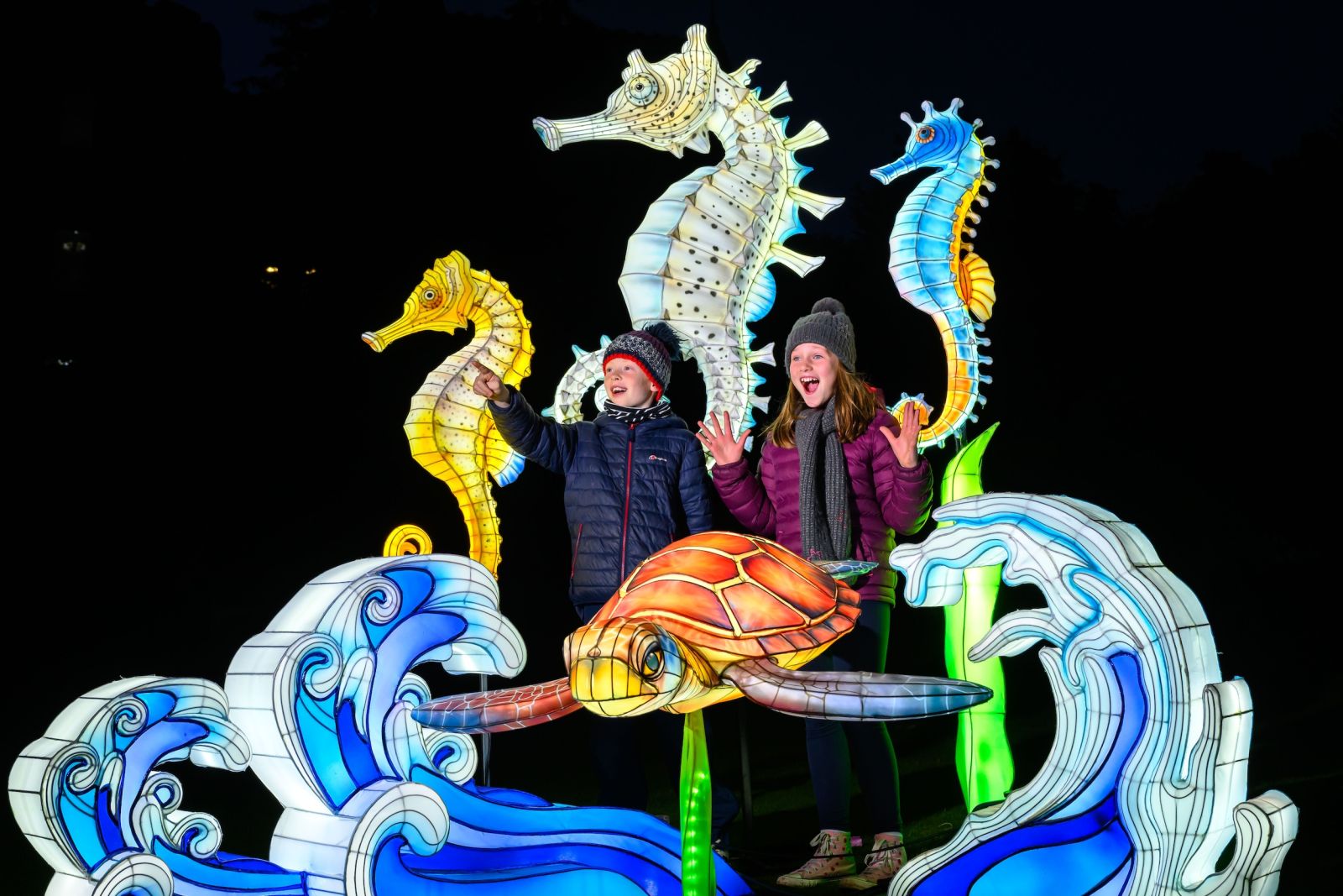 Something For The Weekend: Swim School, Mike Rice, Alan Carr and more