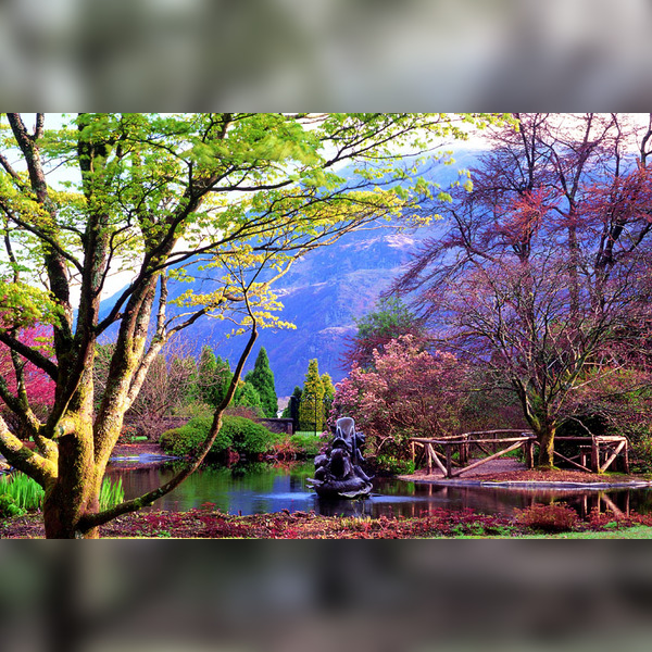 Charity Garden Opening - Benmore Botanic Garden