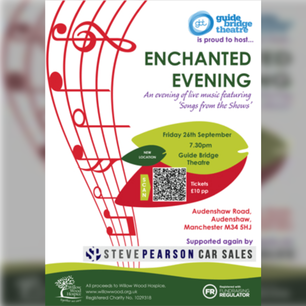 Willow Wood: Enchanted Evening