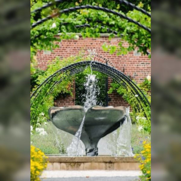Taster Tours: Tour of Bangor Castle Grounds and Walled Garden