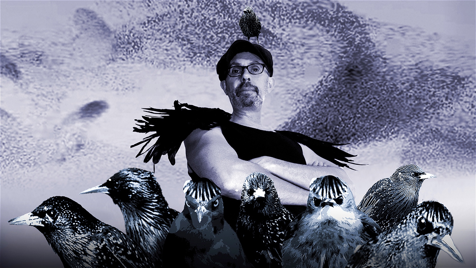 Steve Vertigo: Murmuration