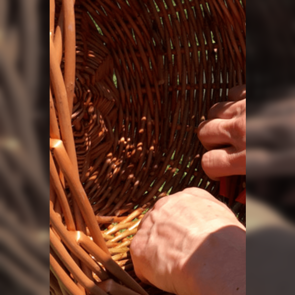 Willow Weaving Workshop with Donald Spy Baskets